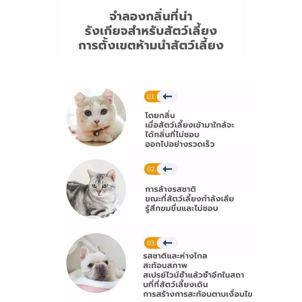 สเปรย์ป้องกันสัตว์เลี้ยงปัสสาวะไม่เป็นที่ ไล่แมวและสุนัข thumbnail 6