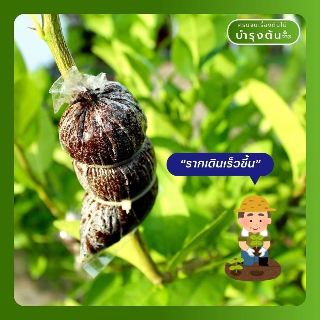 มุมมอง 5