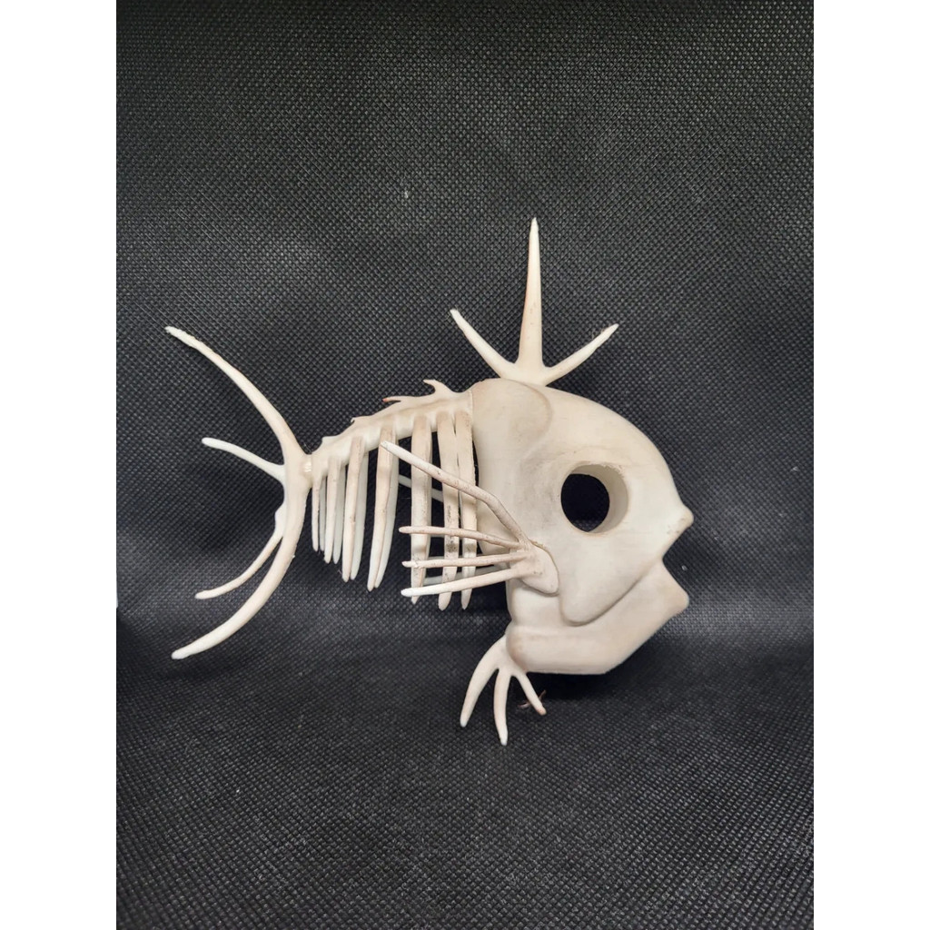 [Meow.sensei] Carp King Skeleton