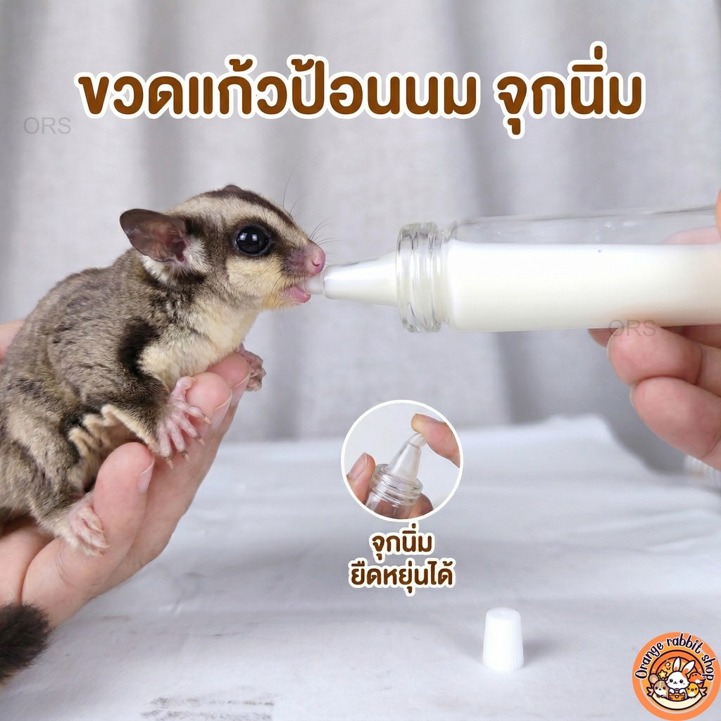 ORS ขวดนมลูกรัก 🍼 ขวดแก้วจุกนิ่ม สำหรับชูการ์ กระรอก สัตว์เล็กทุกชนิด