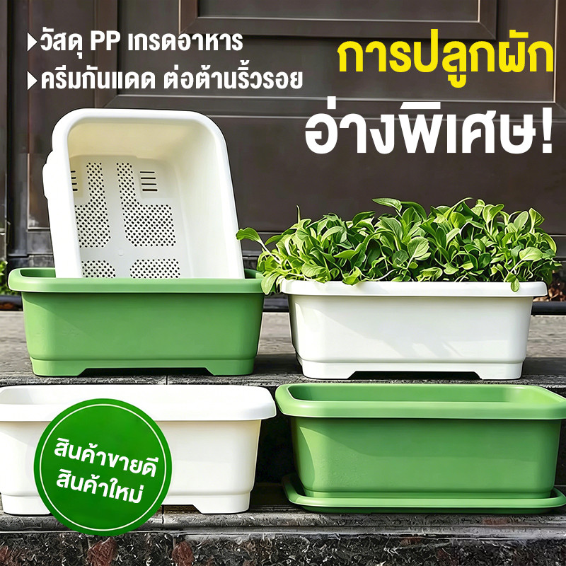 กระถางต้นไม้ทรงยาว พร้อมถาดรอง กระถางพลาสติกทรงยาว พลาสติกหนาพิเศษ กระถางยาว เกรดพรีเมียม ปลูกผักสลัด ปลูกดอกไม้
