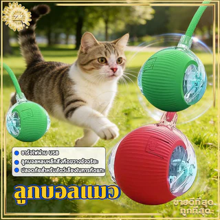 ลูกบอลแมว ลูกบอลมีหาง ของเล่นสําหรับสัตว์เลี้ยง ของเล่นแมวช่วยคลายเครียด เรืองแสง สนุก ทนแรงกัด 360 องศา Type-C