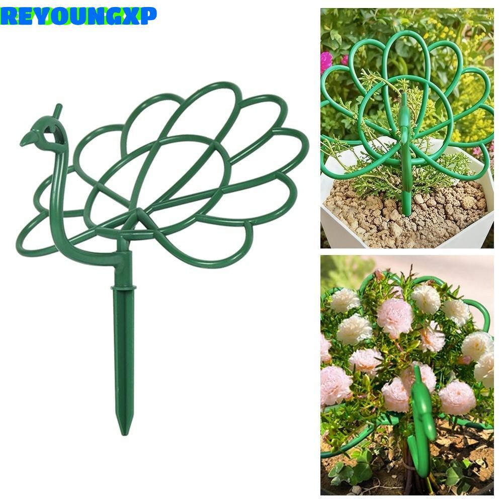 REYOUNGXP Trellis รูปทรงนกยูง, ที่วางหม้อรองรับพืชกลางแจ้ง, โครงติดพืชสวน ดอกไม้ลาน Stake