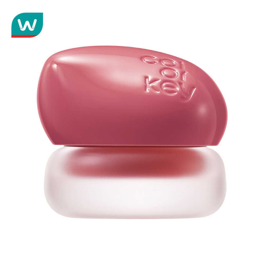 Colorkey คัลเลอร์คีย์ ครีมมี่ มัลติเพอร์โพส โคลน 4.5ก.