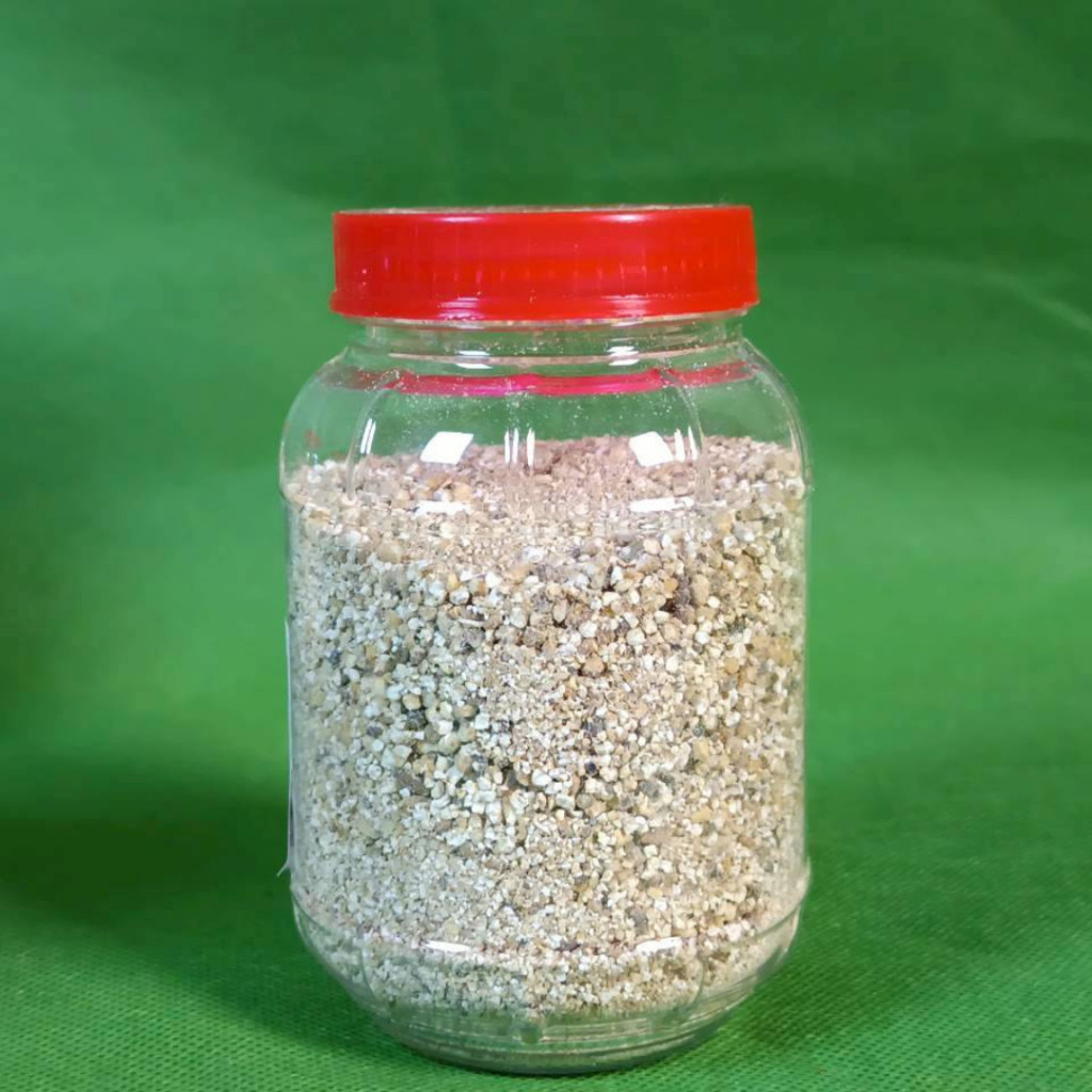 [ส่งฟรี]ข้าวคั่วหอมๆ คั่วใหม่ทุกวัน ข้าวเหนียวแท้ 100% กลิ่นหอมฟุ้ง ปรุงลาบ น้ำตก แจ่ว