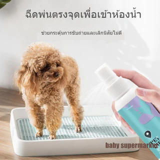 ✨ จัดส่งเร็ว สำหรับสุนัขและแมว สเปรย์ฝึกขับถ่ายสัตว์เลี้ยง 120ml 🌿ปลอดภัยต่อสัตว์ น้ำยานำทางเข้าห้องน้ำ ฝึกฉี่อึเป็นที่