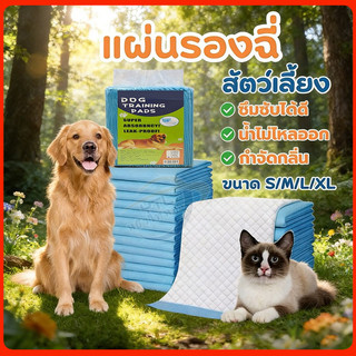YTL 🐶ส่งจากไทย🔥 แผ่นรองฉี่ แผ่นรองฉี่สุนัข ช่วยฝึกขับถ่าย ซึมซับได้ดี ต่อต้านแบคทีเรีย กักเก็บกลิ่น