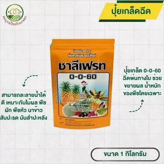 ชาลีเฟรท แม่ปุ๋ยเกล็ด 0-0-60 ขนาด 1 กก แม่ปุ๋ยแท้ 100% เนื้อเยอรทัน ฉีดทางใบ เร่งราก ต้นเขียว สำหรับพืชหลากหลายชนิด