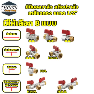 วาล์วอัตโนมัติทองแดง 8 แบบ สำหรับงานประปาและช่าง คุณภาพสูง พร้อมส่ง