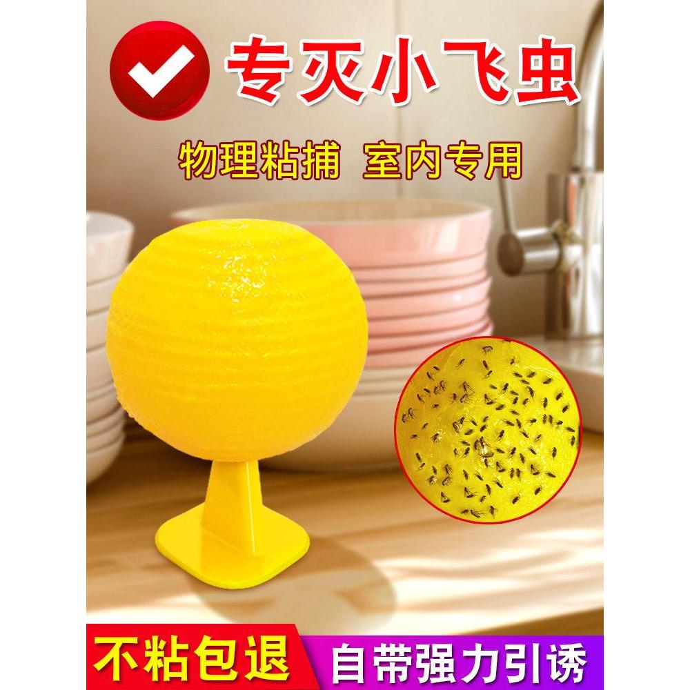 โปรโมชั่นทั้งร้าน!Fruit Fly trap Fruit Fly buster Drosophila Fly Fly Fly Fly bruster คุณภาพแข็งแรง ร