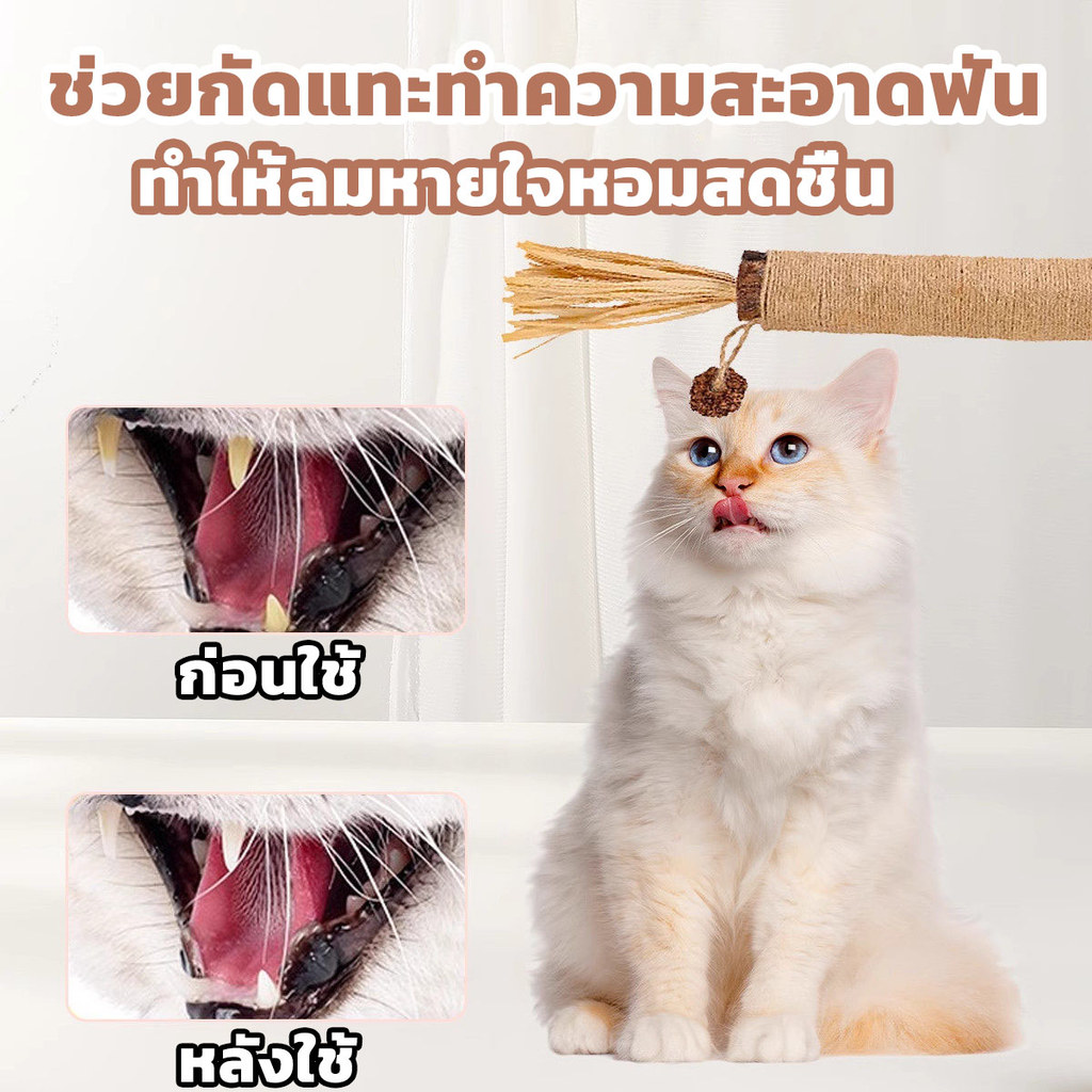 22cm ไม้แมวเมา ไม้มาทาทาบิ ขัดฟันแมว ไม้ขัดฟัน ลดคราบหินปูน ของเล่นแมว ไม้แปรงฟันแมว