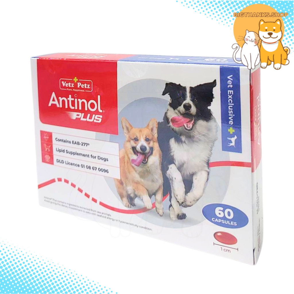 🚫(( 📣 แพคเกจใหม่ล่าสุด )) Vetz Petz Antinol – แอนทินอล อาหารเสริมไขมัน บำรุงข้อ สำหรับสุนัข และ แมว