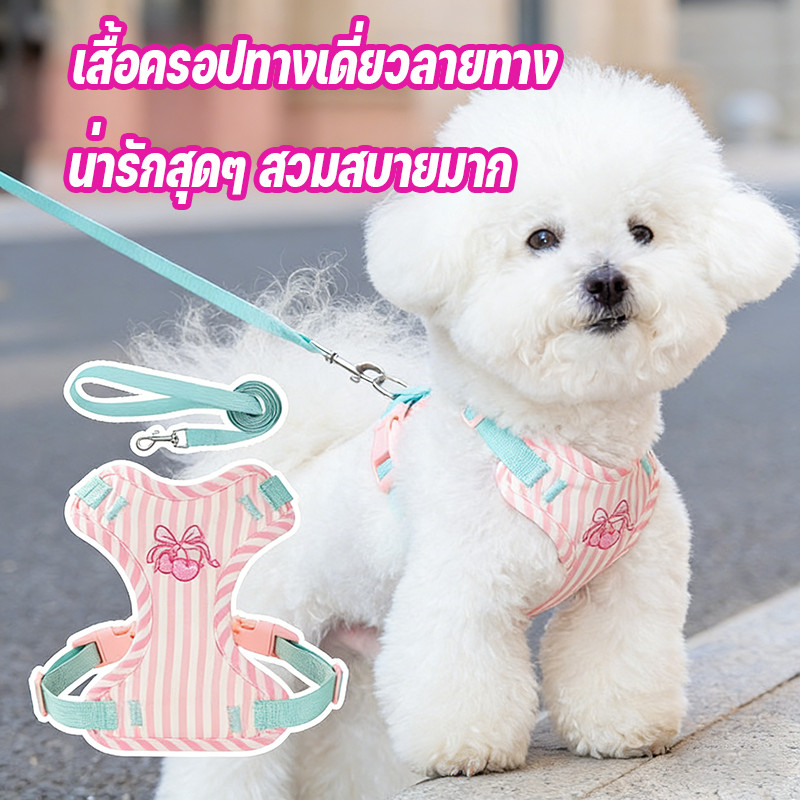 สายจูงสุนัข เชือกโซ่ น่ารัก ป้องกันปลดปล่อย เสื้อกั๊กหน้าอกด้านหลัง ขนาดเล็ก-กลาง