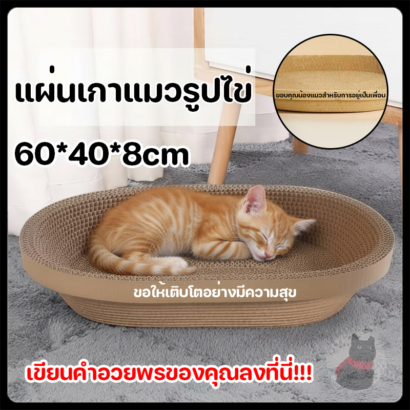 อ่างลับเล็บแมว รูปวงรี รูปวงกลม ขนาดใหญ่ ของเล่นแมว ที่นอนแมว ที่ลับเล็บแมว ที่ฝนเล็บแมว แผ่นลับเล็บ