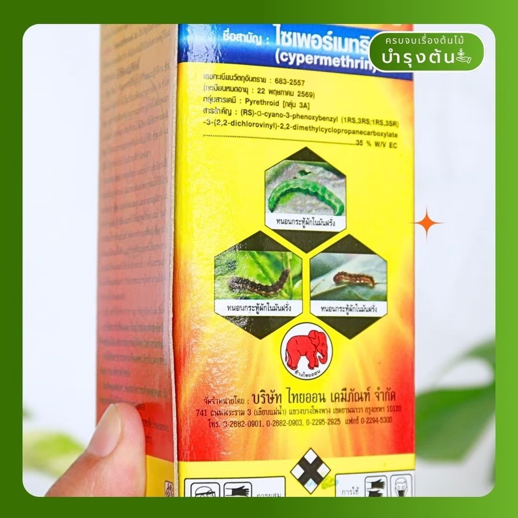 มุมมอง 3