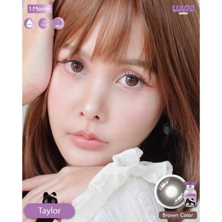 🔥คอนแทคเลนส์💕ขนาดกลาง💕Brown / Gray💕Taylor (LULOO)