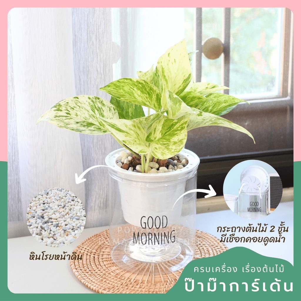 มุมมอง 4