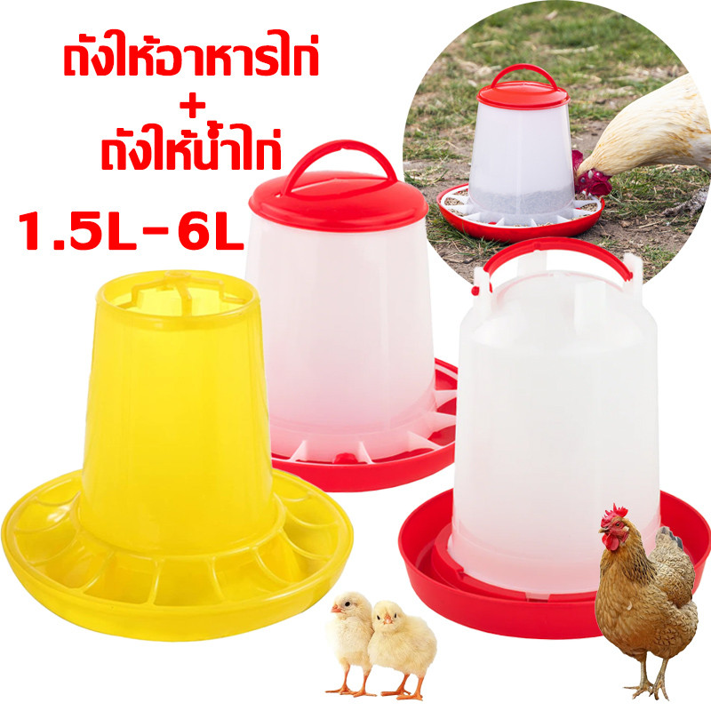 ถังอาหารไก่ ถังให้อาหารไก่อัตโนมัติ เครื่องให้อาหารไก่อัตโนมัติ ที่ให้อาหารไก่ แข็งแรง ทนทาน ใช้งานง่าย