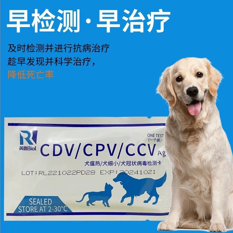กระดาษทดสอบขนาดเล็ก สุนัข cpv โรงพยาบาล สุนัข Fine Corollapse การ์ด Plague รุ่นเดียวกันกระดาษทดสอบ c