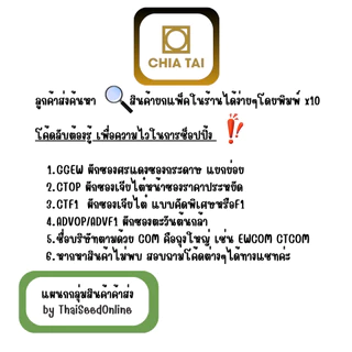 เจียไต๋ CTOP x 10 เมล็ดผักซองเจียไต๋ ฟักทองลายข้าวตอก สินค้ายกแพ็ค