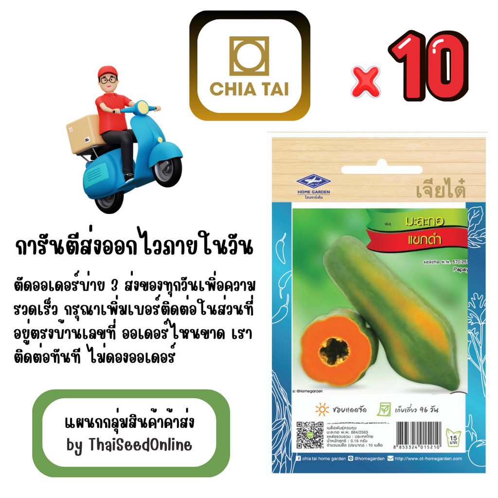 CTOP x 10 เมล็ดผักซองเจียไต๋ ฟักทอง สินค้ายกแพ็ค