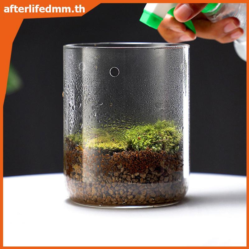 AL ขวดแก้วสําหรับ Dew Collection Micro ภูมิทัศน์แจกัน 1 ชิ้นตารางเครื่องประดับ Terrarium สําหรับ DIY พืชตกแต่งบ้าน TH