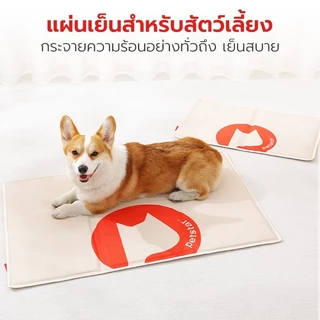 Petstar แผ่นเจลเย็นสัตว์เลี้ยง ที่นอนเจลเย็นสุนัข Pet Cooling Mat วัสดุ PVC พกพาง่าย มี 3 แบบ