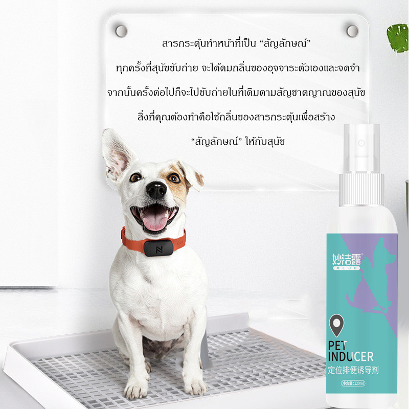 สอนสุนัขให้ฉี่ ป้องกันการขับถ่ายและฉี่ไม่เป็นที่สเปรย์ฝึกขับถ่ายสุนัข สเปรย์ฝึกหมาฉี่