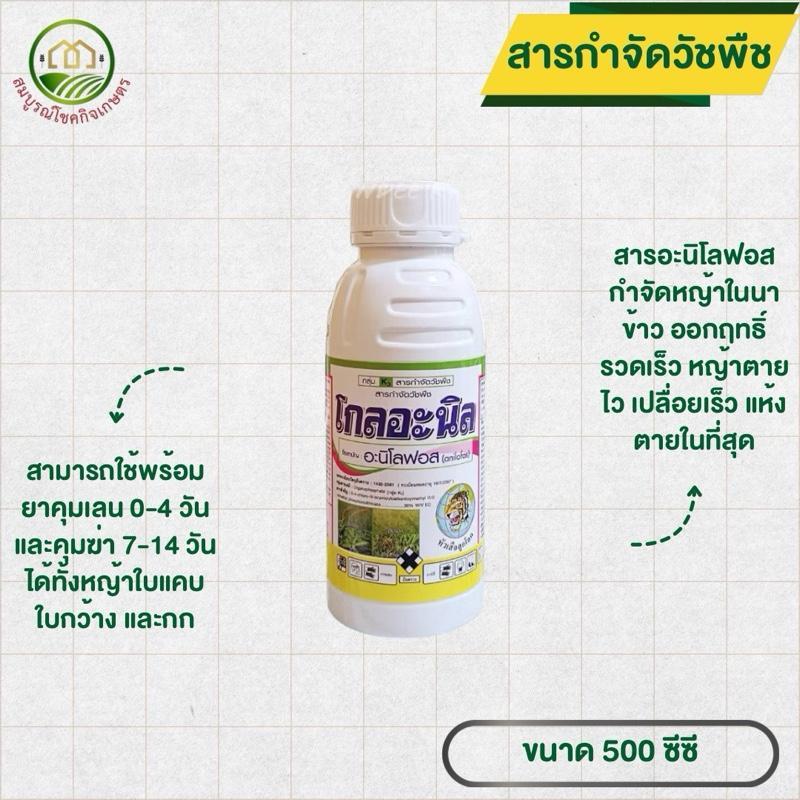 โกลอะนิล 500 ซีซี ยานาข้าว ยาคุมฆ่า ยาเก็บหญ้า กำจัดหญ้าใบแคบ ใบกว้าง กก ช่วง 0-4 วัน หรือ 7-14 วัน