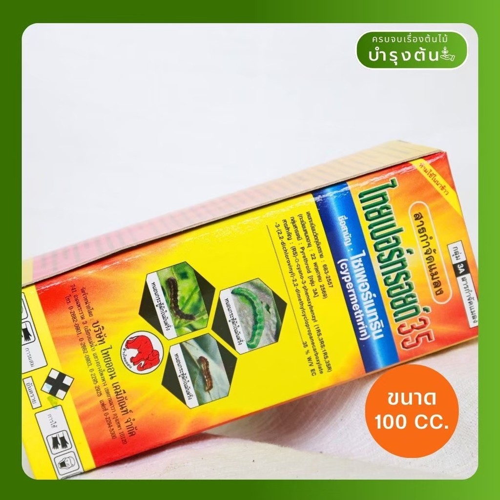 มุมมอง 2