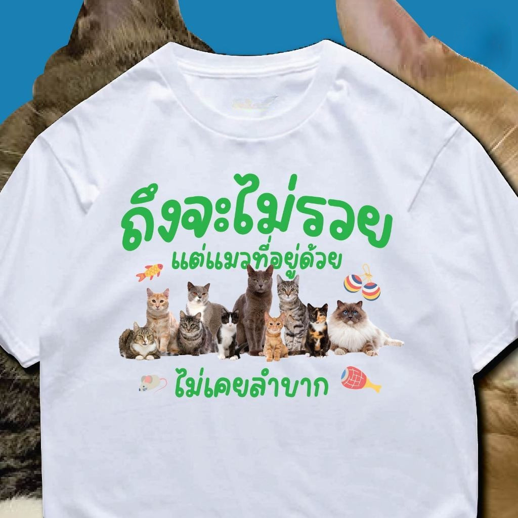 YOUNG T ( พร้อมส่งเสื้อเฮีย ) M~3XL  เสื้อ ถึงจะไม่รวย แต่แมวที่อยู่ด้วย หลากสี ผ้าCotton 100% ราคา ถูกที่สุด ดีลบีเคเค แกลเลอรีภาพที่ 6