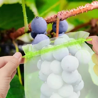 ถุงห่อผลไม้กันแมลง / ถุงตาข่ายกันนกสำหรับสวน แบบมีเชือกรูด / ตาข่ายคลุมพืชผัก 50/100ชิ้น