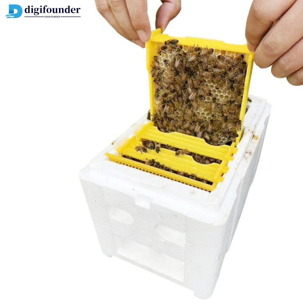 DIGIFOUNDER Queen Bee Breeding Mating Box Styrofoam Box Bee Hive Box Garden Pollination อุปกรณ์การเล