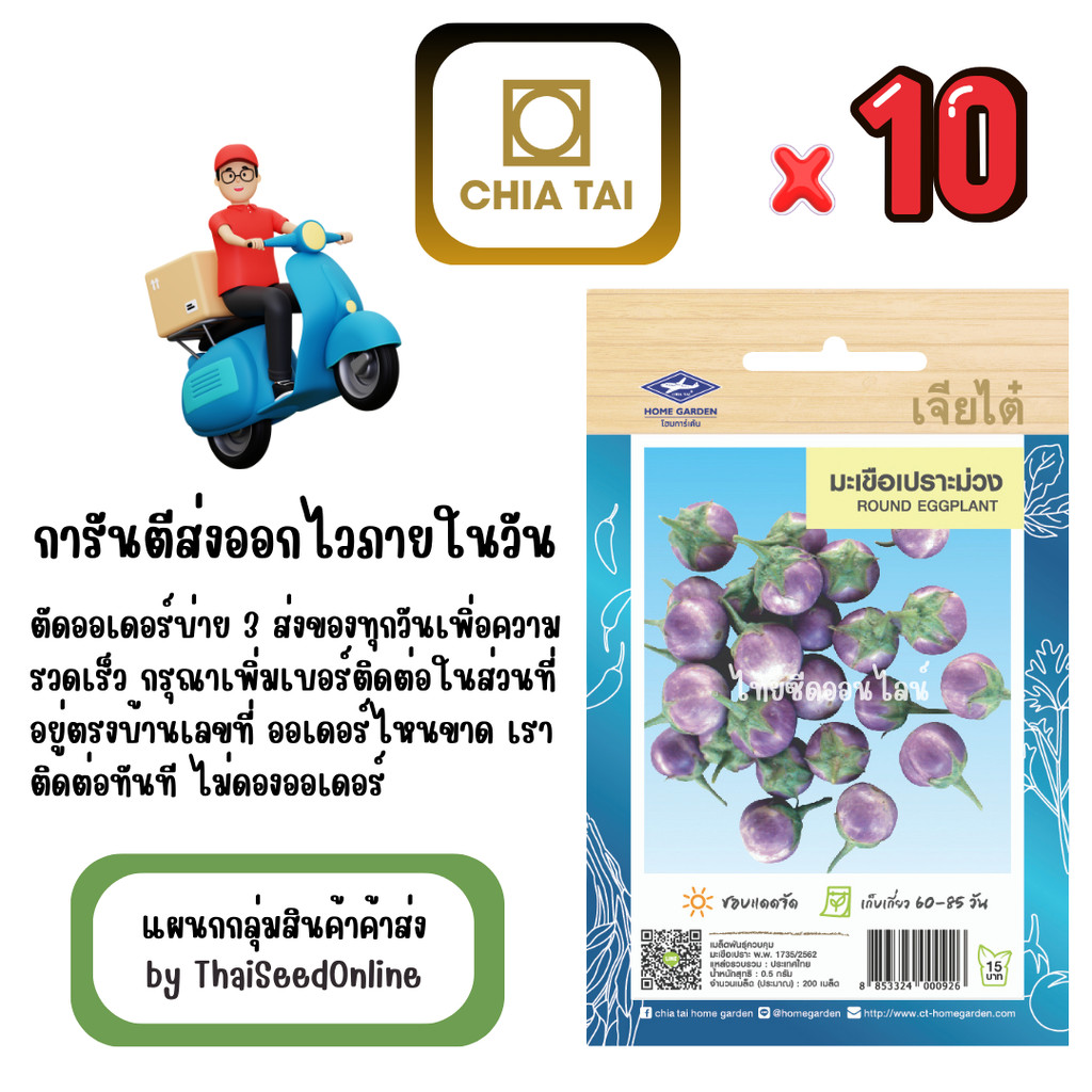 CTOP x 10 เมล็ดผักซองเจียไต๋ กะเพรา สินค้ายกแพ็ค
