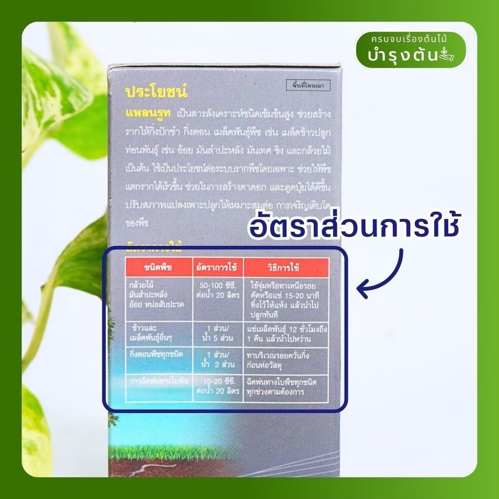 มุมมอง 2