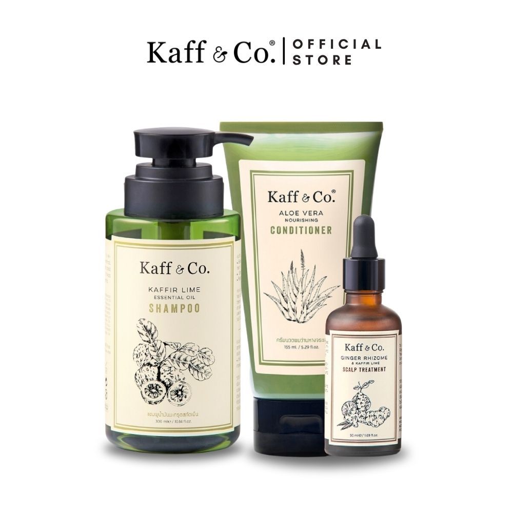 Kaff & Co. 3 Steps Routine ดูแลหนังศีรษะให้สมดุล บำรุงรากผม ลดผมร่วง แชมพูมะกรูด & ครีมนวดว่านหางจระเข้ & ทรีทเม้นท์ขิง