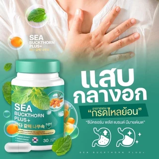 ซีบัคธอร์น พลัส กรดไหลย้อน [📍1แถม2 | มีส่งด่วนในวัน] SEA BUCKTHORN PLUS มีมายด์เมด MEMYMAID จุก เสียด แน่นท้อง