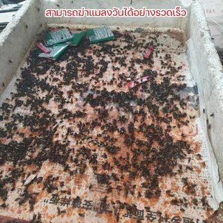 【จัดส่งฟรี】ผงไข่เน่า เหยื่อกำจัดแมลงวัน ฆ่าแมลงวันขั้นเทพ ใช้ฆ่าแมลงวันบ้าน ตราไก่