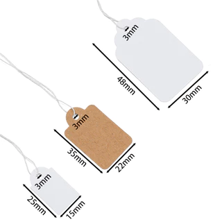 100ชิ้น ป้ายแท็กสินค้า (พร้อมเชือก) กระดาษคราฟท์เปล่า ป้ายเขียนราคา ป้ายของขวัญ อุปกรณ์แพ็คเกจจิ้ง DIY