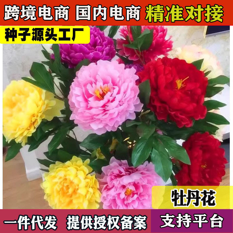 Double Petal Peony Seed Peony Seed Flower Seed Outdoor Potted Flower Plant ระเบียง Courtyard Cold Re