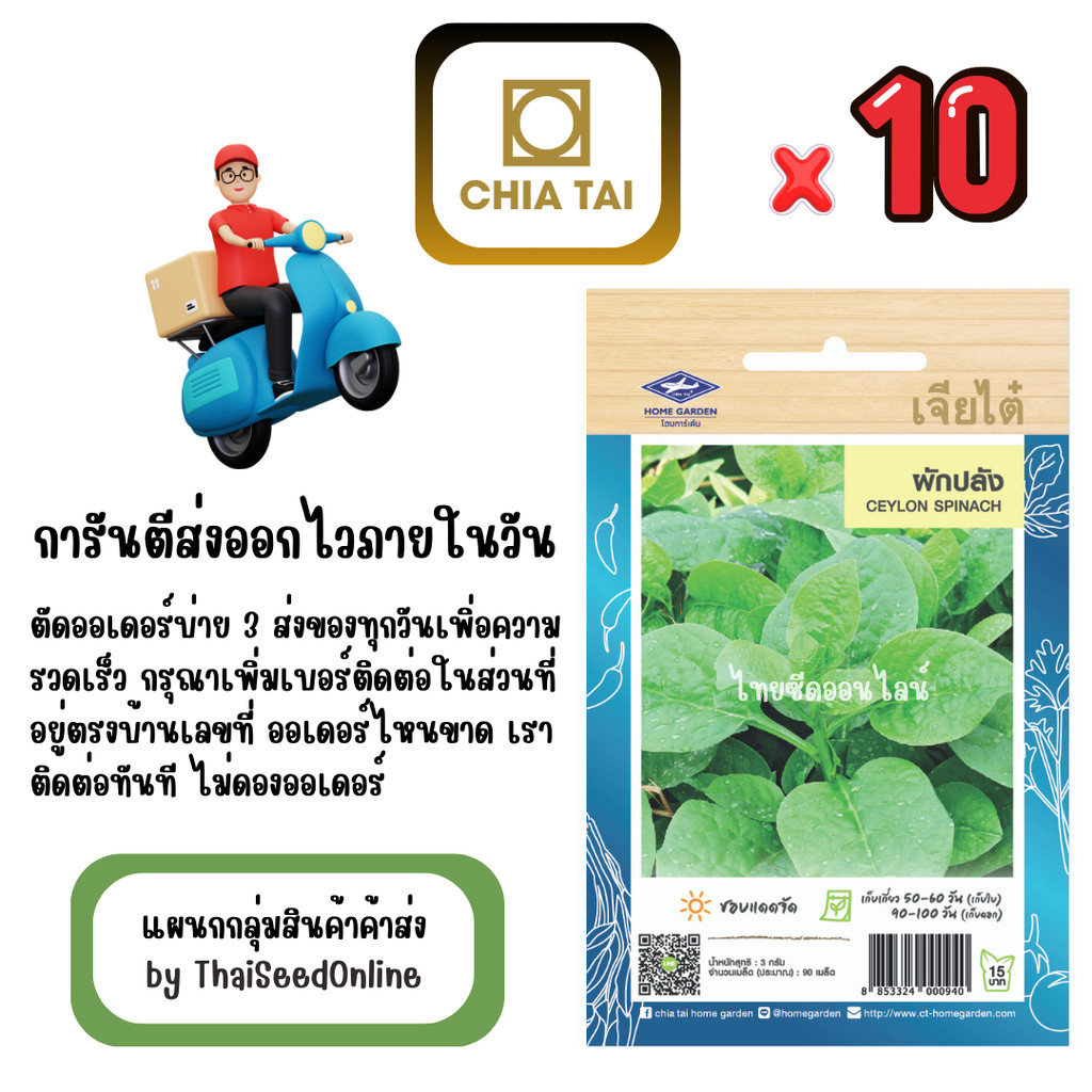 CTOP x 10 เมล็ดผักซองเจียไต๋ ผักปลัง สินค้ายกแพ็ค