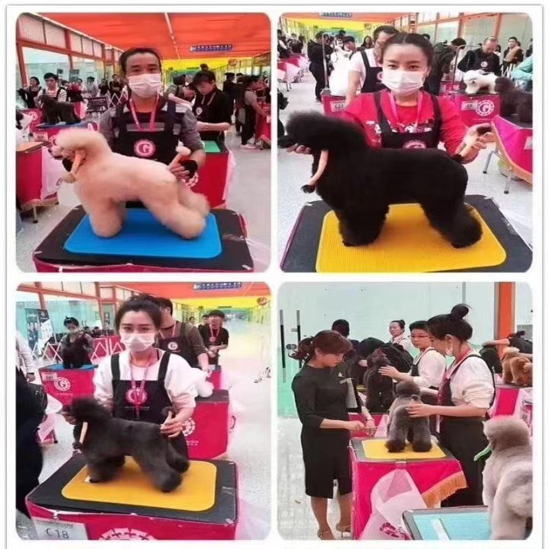 สัตว์เลี้ยงการแข่งขันเกรดเสื่อกันลื่นทนอุณหภูมิสูงความงามตารางเสื่อสัตว์เลี้ยงกรูมมิ่งตาราง ต่อต้าน @