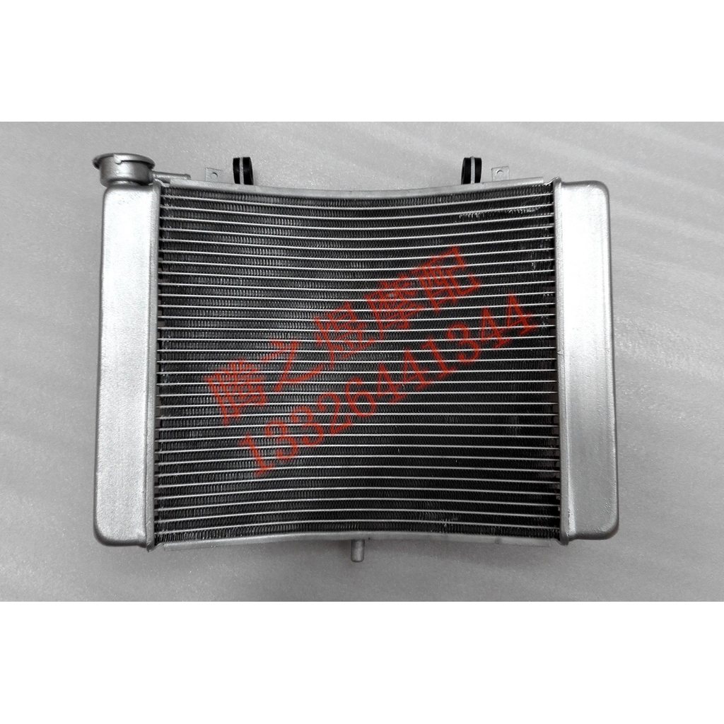 อุปกรณ์มอเตอร์ไซค์ NSR250 PGM P3 P4 3 Aberdeen 4 Aberdeen ชุดถังน้ําเลียนแบบสูงหม้อน้ําถังน้ํา