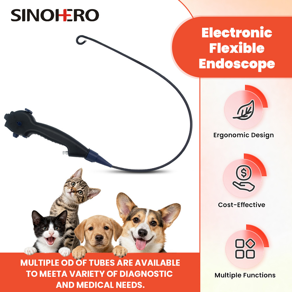 CR-33VDB สัตวแพทย์ยืดหยุ่นวิดีโอ bronchoscopy ENT กล้อง Endoscope มัลติฟังก์ชั่นยืดหยุ่น Urology Endoscopy Cystoscope อุปกรณ์ผ่าตัด