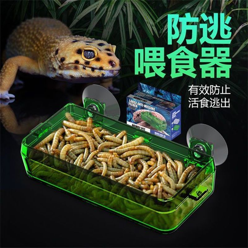 อ่างอาหารตุ๊กแกสัตว์เลื้อยคลาน Anti-Escape Feeder อ่างน้ํา Anti-Escape ปีนเขาสัตว์เลี้ยง Lizard Geck
