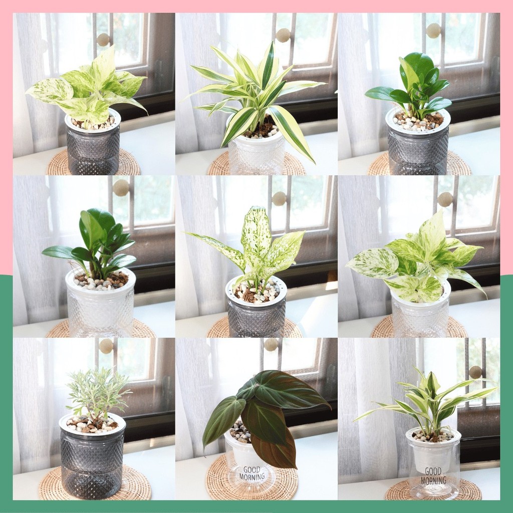 มุมมอง 2