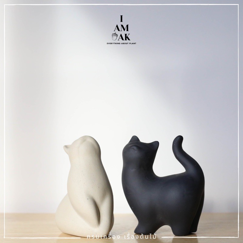 มุมมอง 2