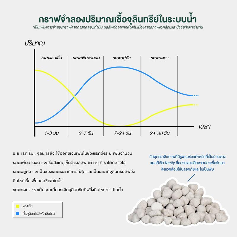 จุลินทรีย์แบคทีเรียสำหรับบ่อปลาและตู้ปลา Living Inside