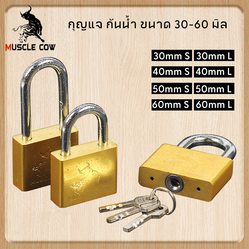 Muscle COW กุญแจ ระบบลูกปืน สีทอง และสีเงิน กุญแจลูกปืน กันน้ำได้ 60มม. คอสั้น คอยาว ขนาดเล็ก ใหญ่ รุ่นเหล็กชุบ แม่กญแจ