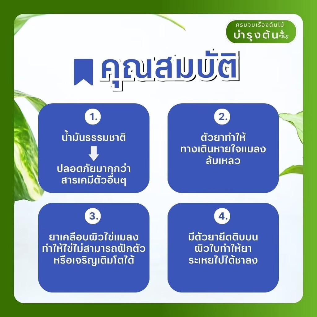 มุมมอง 2